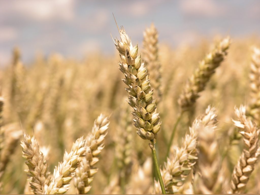 Nachhaltige Landwirtschaft